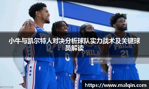 小牛与凯尔特人对决分析球队实力战术及关键球员解读